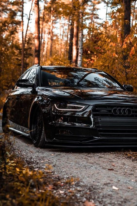 Audi-bild